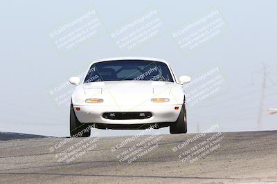 media/Oct-19-2024-Speed Ventures (Sat) [[2b24c230c9]]/Purple/Session 2 (Grapevine)/